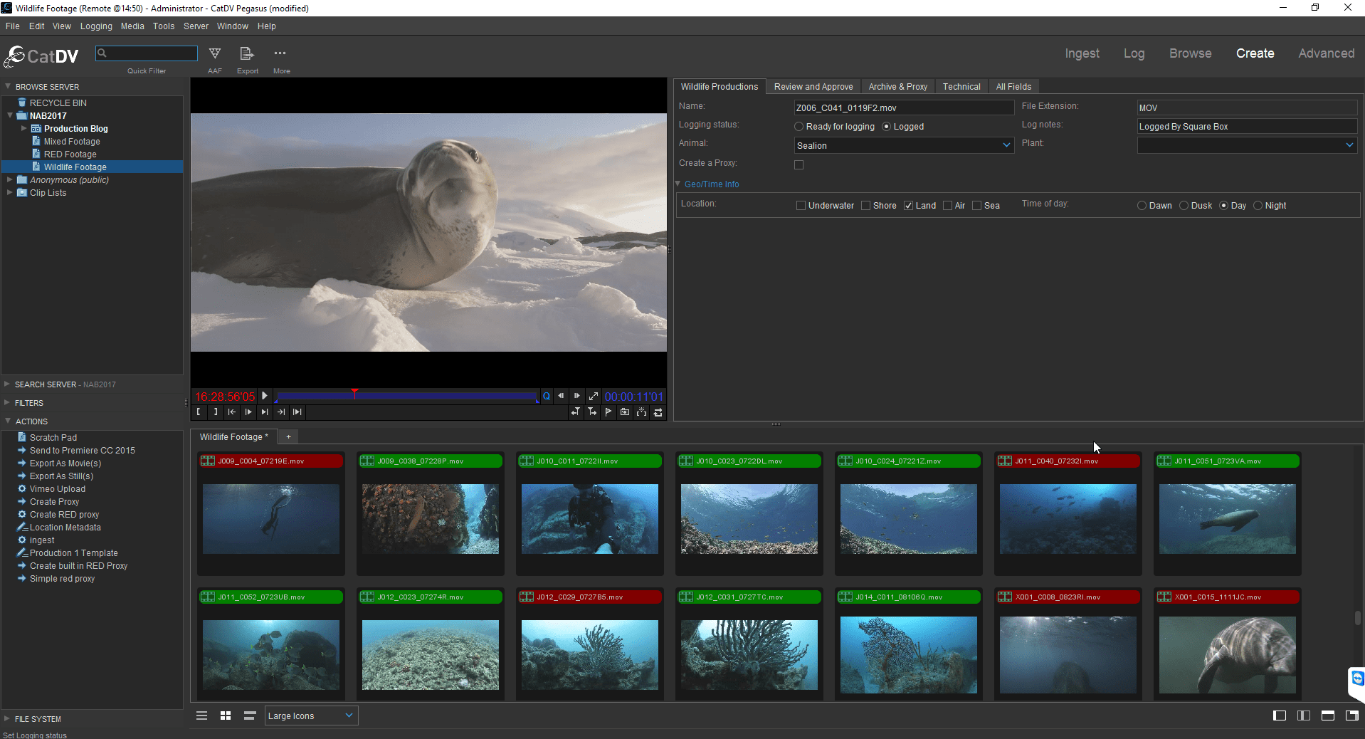 Squarebox apresenta CatDV 13